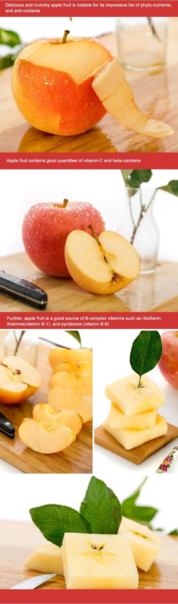2020 new harvest chinese fresh Qinguan apple