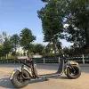 Hot sale eagle 70V 20A electric bicycle electric motorcycle