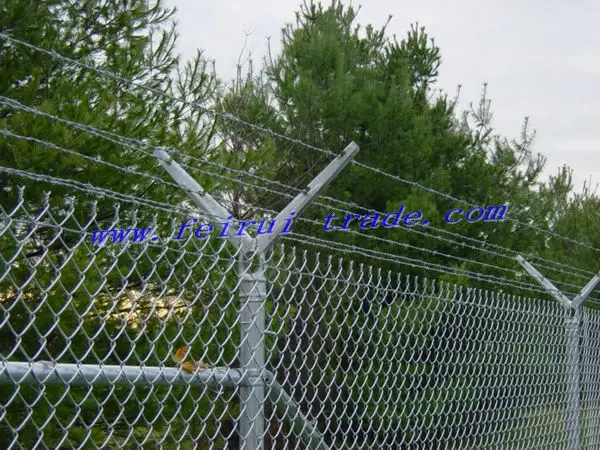 chain link fence.jpg