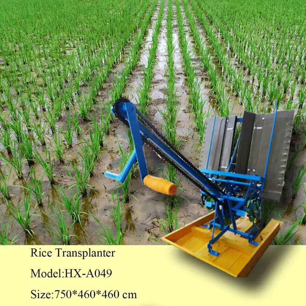 Paddy Planter/rice Planting Machine/popular Rice Seeder Buy Popular