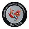 Custom Embroidery patches Korean LOGO patch