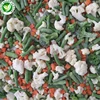 Wholesale Export IQF Frozen Mixed Vegetables