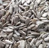 sunflower seed 363 make that nuts and kerne we use sunflower kernels do sweet cake and so