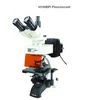 High quality magnification fluorescence microscope price for sale in China