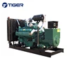 Good price 200kw 250kva durable hot sale coal gas generator