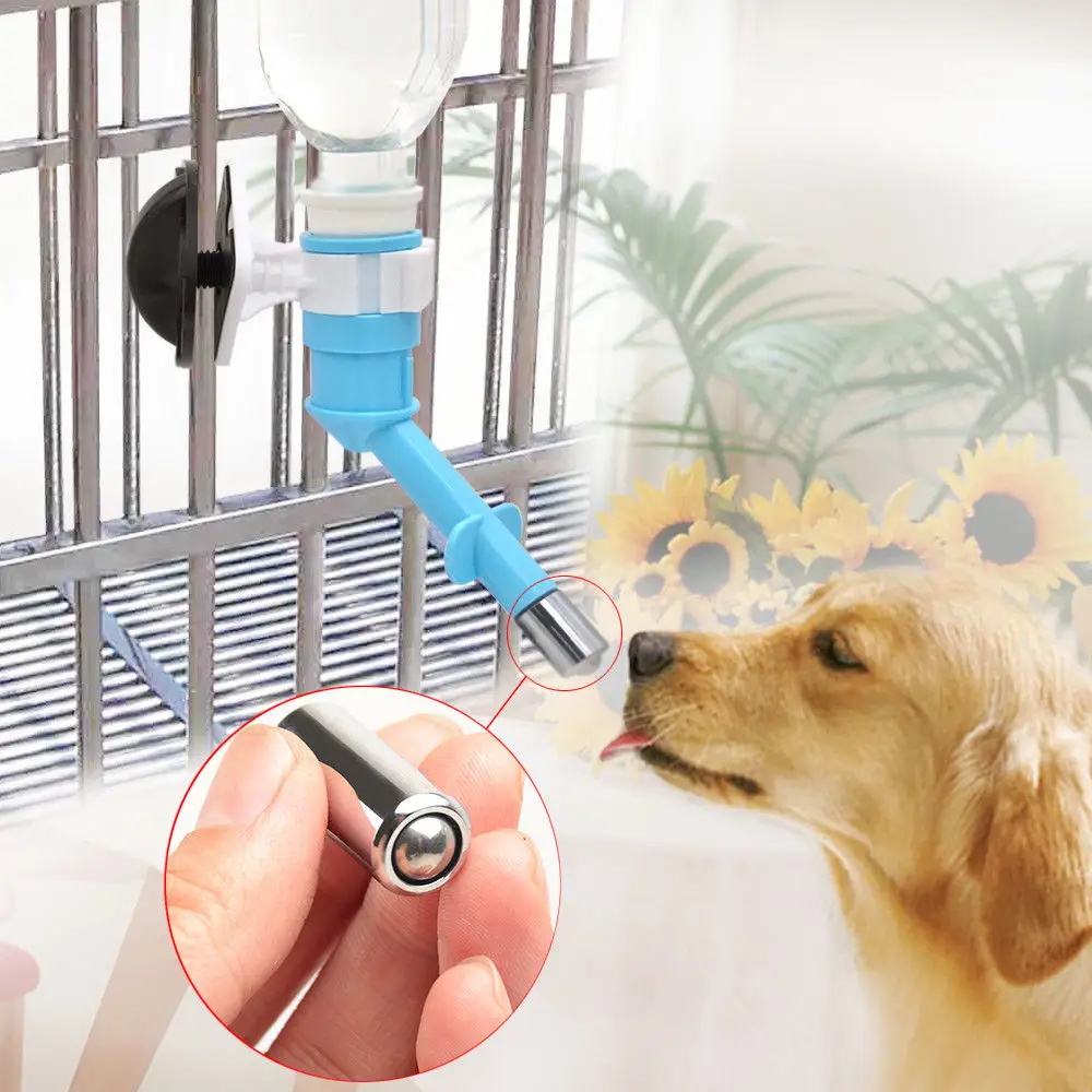 caméra d'alimentation en eau pour animaux de compagnie.jpg