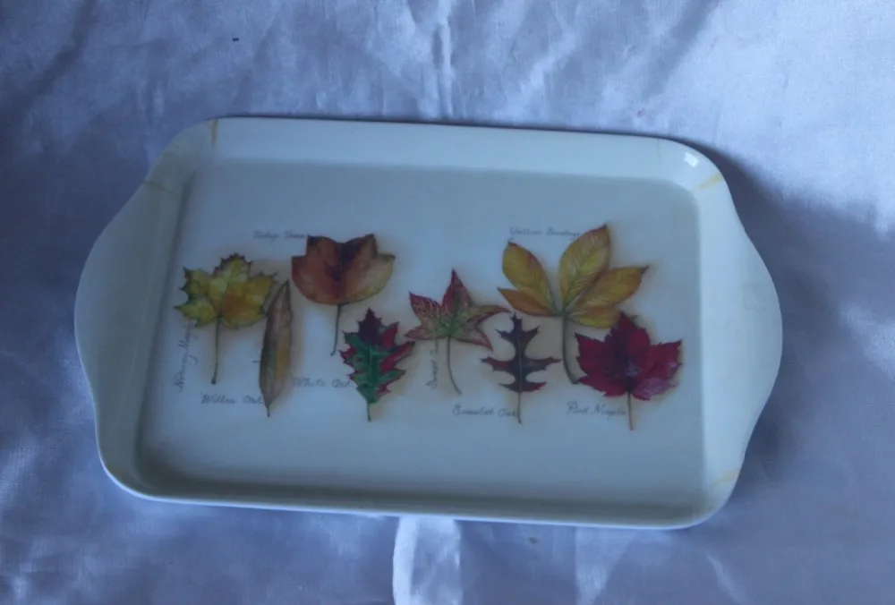 8.2inch melamine tray