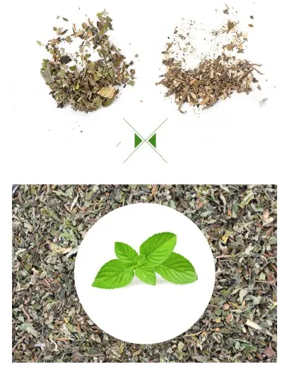 dried catnip herb