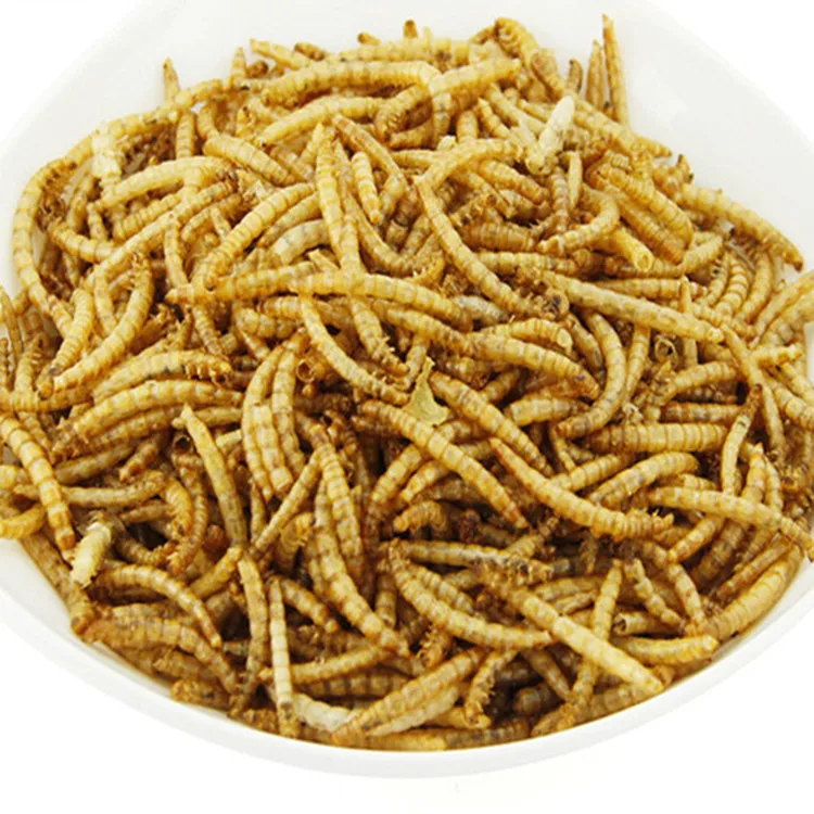 Feed object