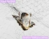 mist net bird netting, anti insect net/anti-insect net, high quality plastic netting