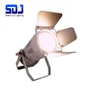 Customized Color Temperature CCT LED Light Source 200W COB LED Par Studio Lights