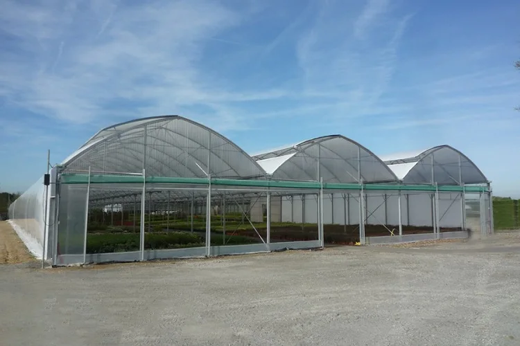 9-60-m-wide-greenhouse2.jpg