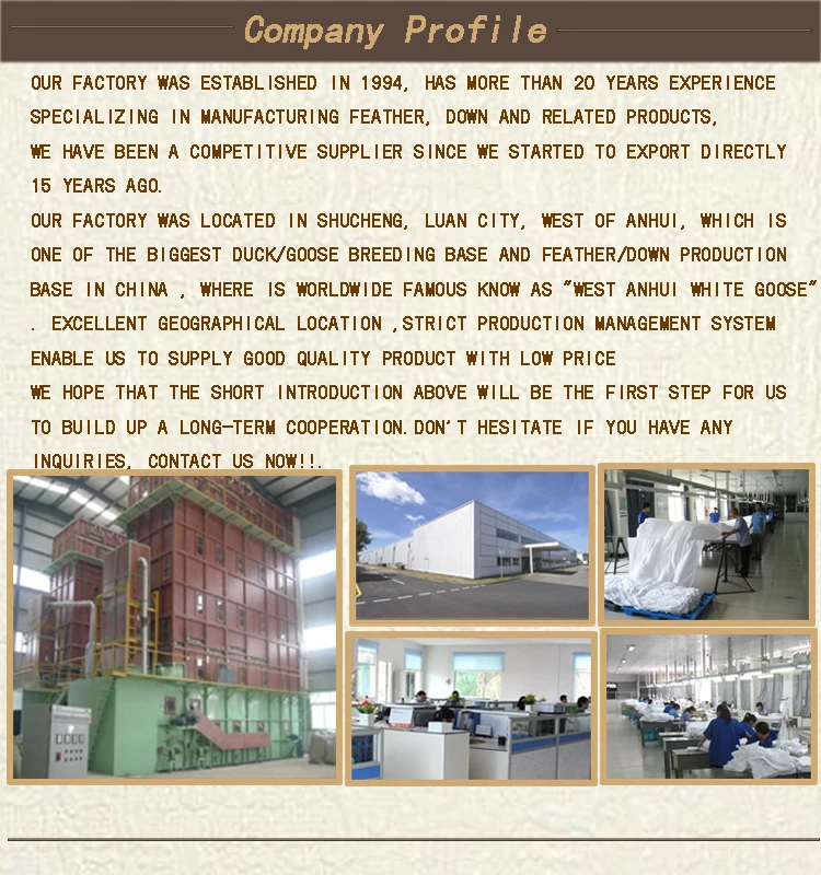Company profile 750x800-1