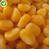 Wholesale bulk delicious Iqf fresh frozen yellow sweet corn kernel