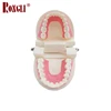 Oral Health Care Tooth Model Biological Science And Education Equipment