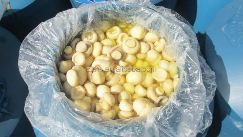 mushroom in drum_3602