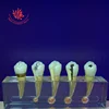 Teeth Study Clinical model of dental pulp disease b Teeth Model