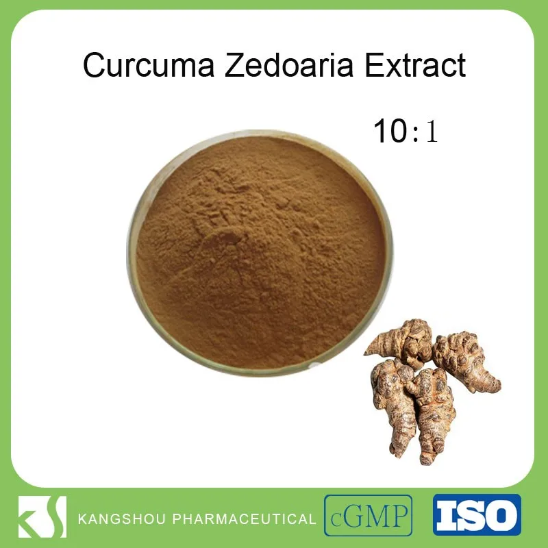 High Quality Rhizoma Curcumae Extract Curcuma Zedoaria Extract Powder