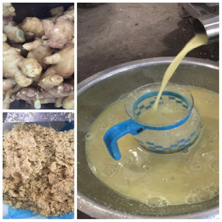 Automatic Stainless Steel Fmc Citrus Juice Extractor Machine Buy Fmc