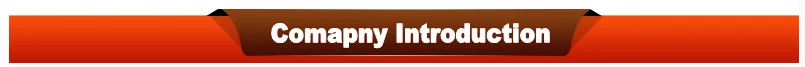 company introduction.png