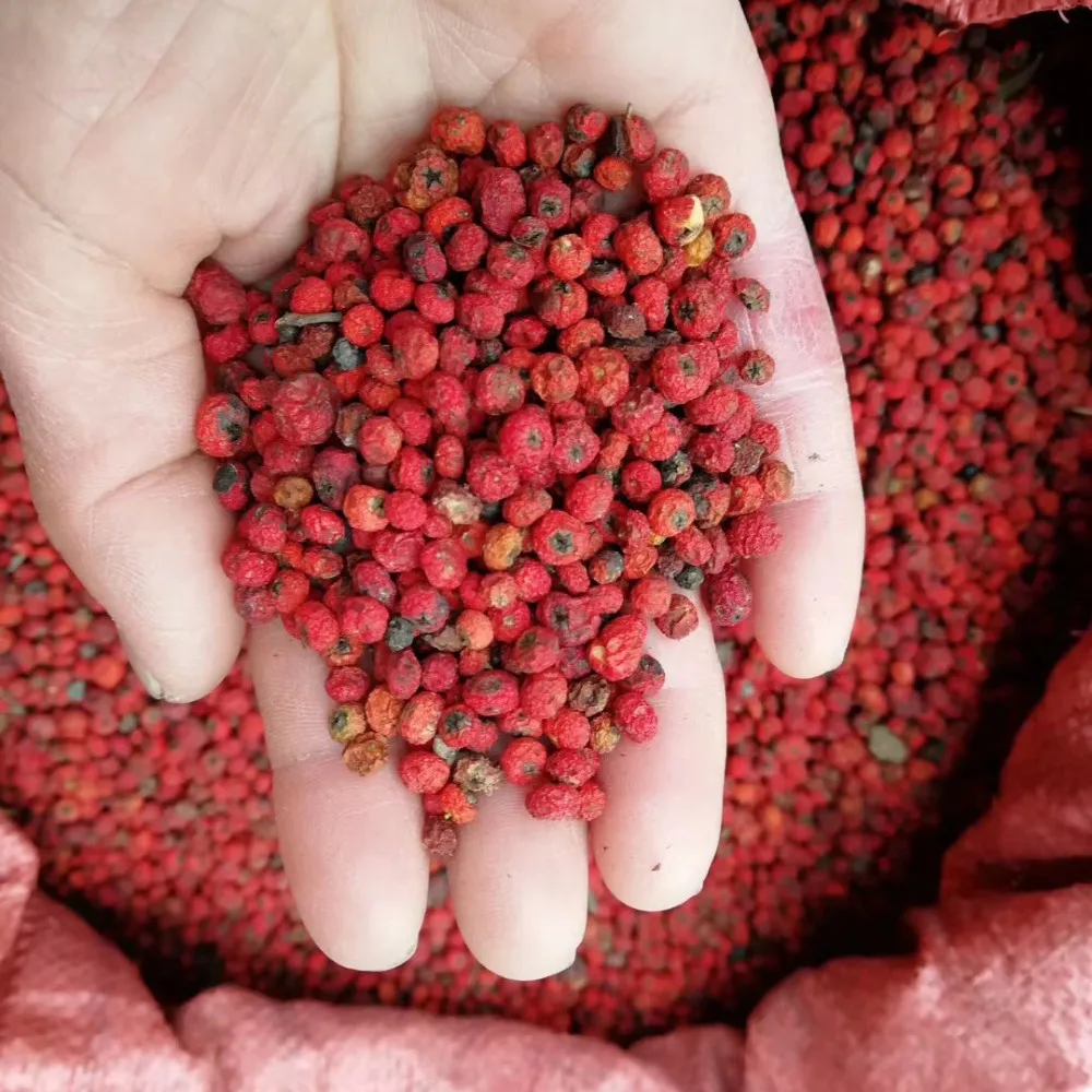 所有行业  农业 植物种子与鳞茎  花球茎,种子和幼苗  sowing season