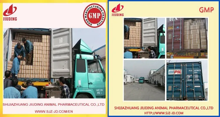 Loading container.jpg