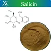 High quality Salicin powder fordispelling wind-evil,increasing urine,reducing swelling. 138-52-3