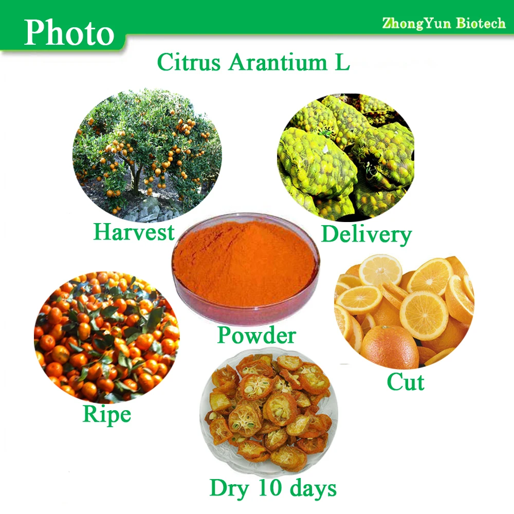 gmp plant provided 100% natural orange peel extract
