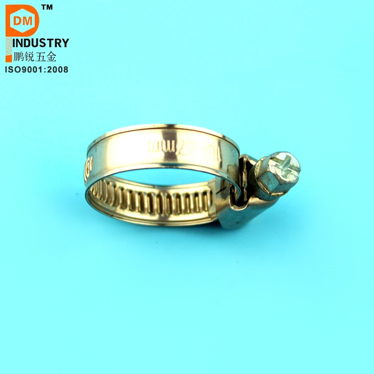 Hose Clamp  (6)