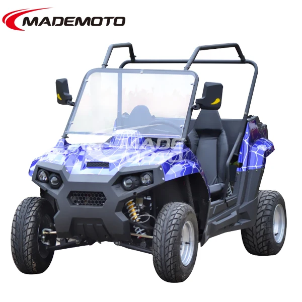 side by side off road buggy