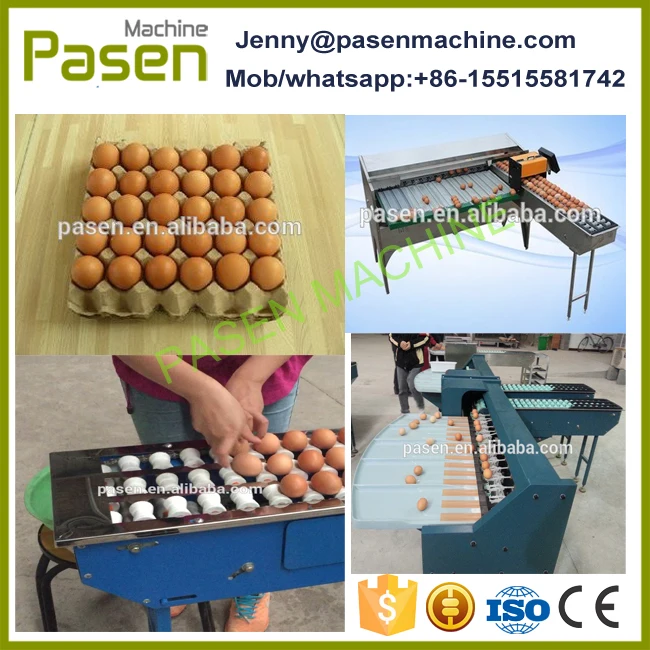 Automatic Egg Grading Machine / Egg Sorting Sorter Machine For Sale
