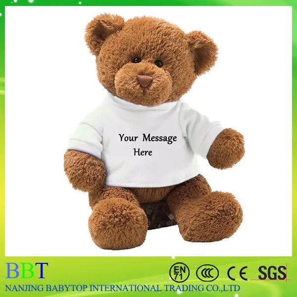 small teddy bear with shirt