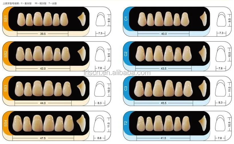 dental lab composite denture teeth for sale synthetic polymer