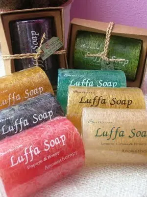 รูปภาพที่เกี่ยวข้อง