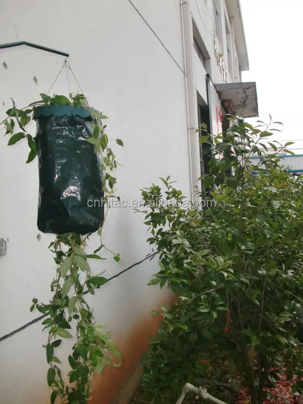 Hanging Pe Plastic Tomato Planter Bags,Hanging Tomato Grow Bag Planter