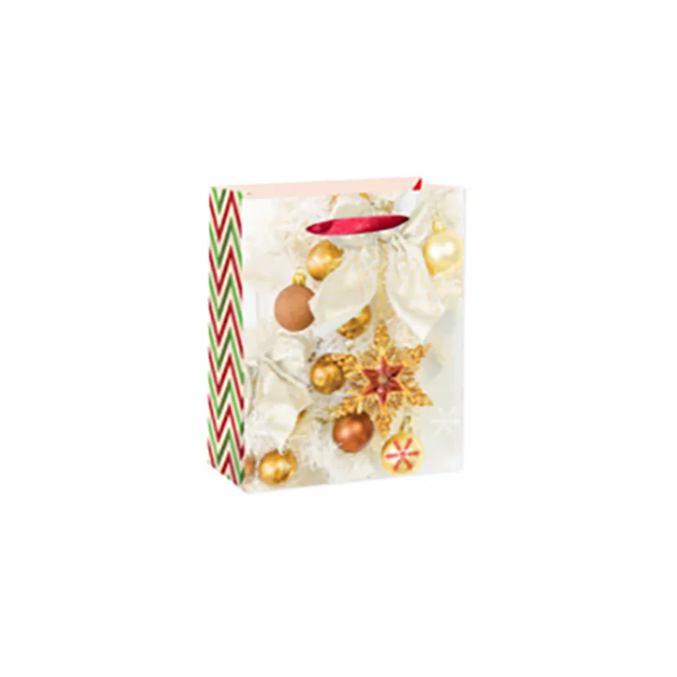 Jialan personalised christmas gift bags company for christmas presents-6