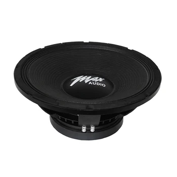 p audio dj speaker