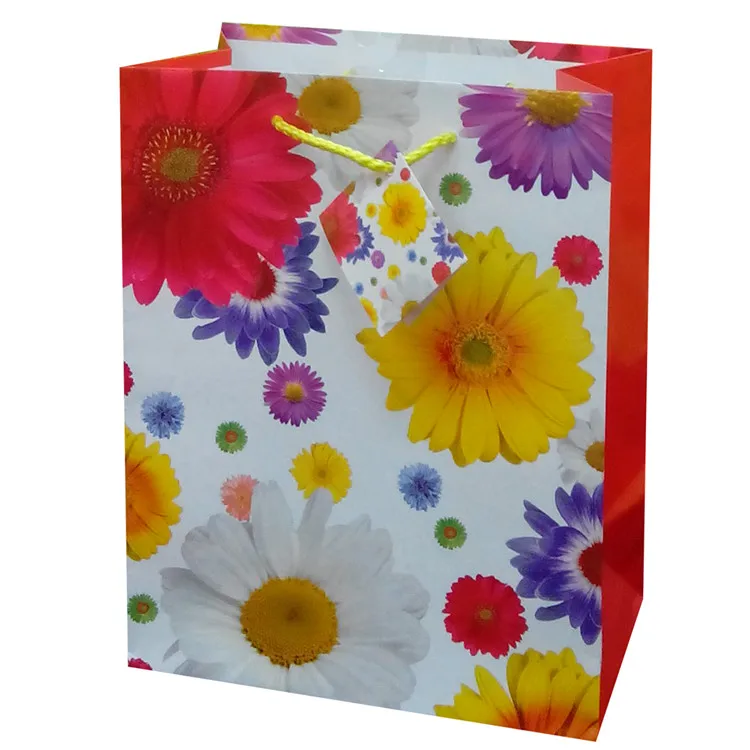 Jialan paper bag supplier wholesale for gift packing-12