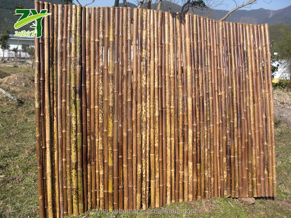 ZY-2009 Specked Bamboo Fence1.jpg