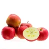 Shaanxi Fresh big red qinguan apple