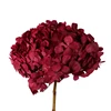 China Best quality petal Single hydrangea flower preserved hydrangea ball wholesale