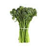 USA high quality healthy vegetables wholesale brands broccoli price