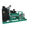 Straw/ Corn Cob Biomass Power Generator