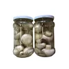 Cheap Canned Champigon whole fresh Mushroom in glass jar