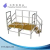 Aluminum Bus Working Scaffold/Scaffolding