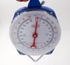 Accurate rated load 25kg to 200kg mechanical hanging spring weighing scale with hook