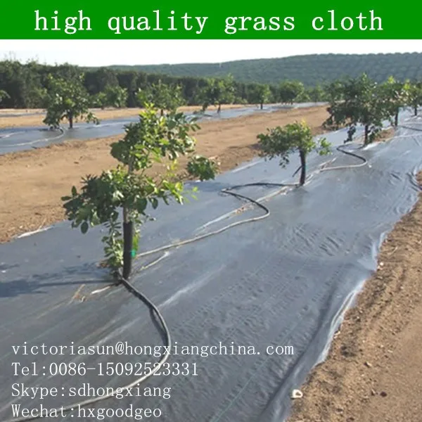 grass cloth.jpg