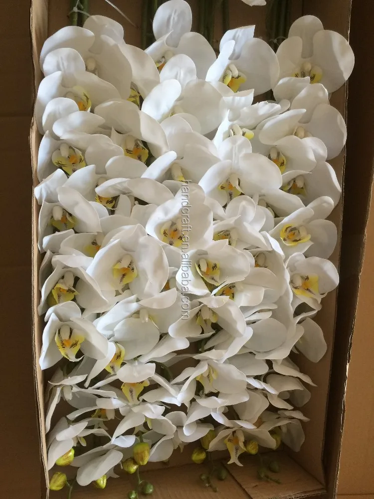 Real Touch Silk White Artificial Orchid For Wedding Buy Silk Blue