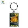 Zebulun China Supplier Cartoon Squirrel Picture Personalized 3D Lenticular Key Chains