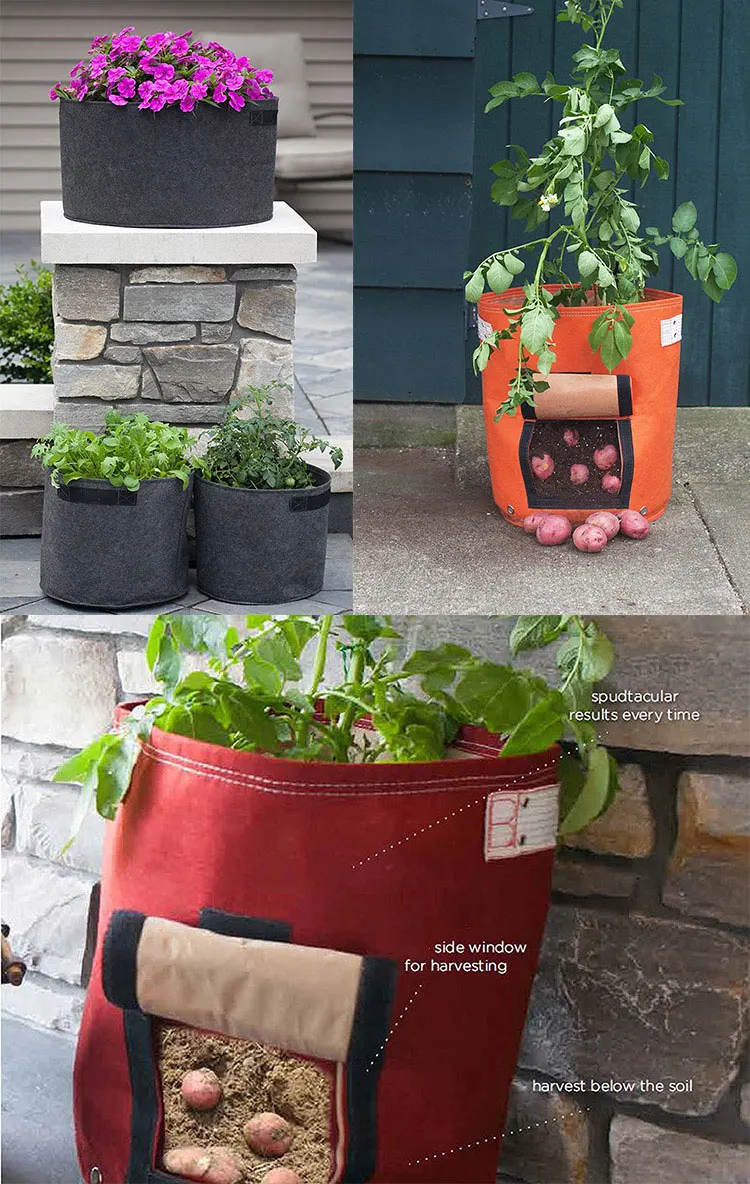 Growbags For Tomatoes Pot Plant Bags Plastic Bag Plant Pots Buy